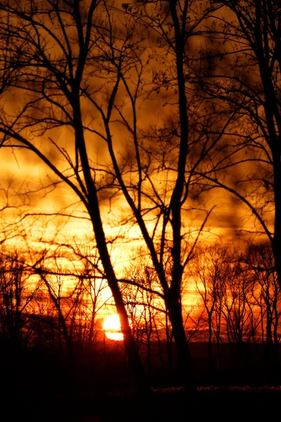 Dramatische zonsondergang hemel — Stockfoto