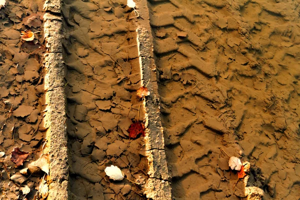 Kirli kırık kırsal yol — Stok fotoğraf
