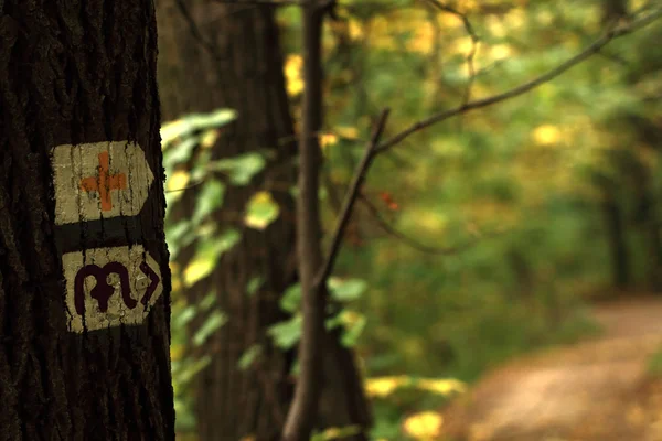 Hohes Schild auf dem Bolzen — Stockfoto