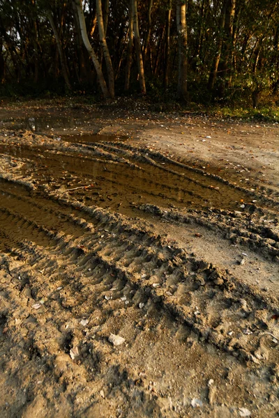 Sporco rotto strada rurale — Foto Stock