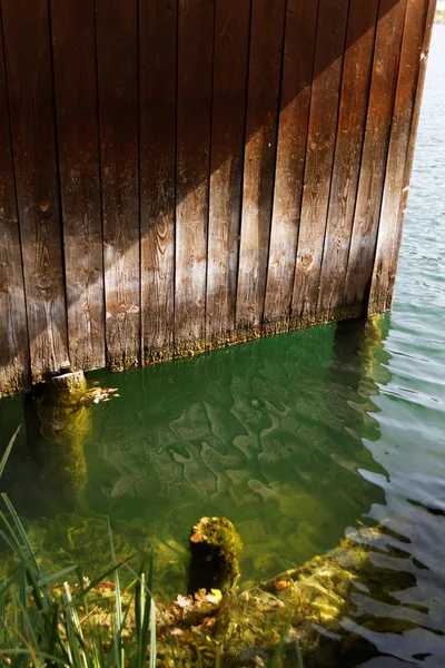 Lakeshore e água verde — Fotografia de Stock