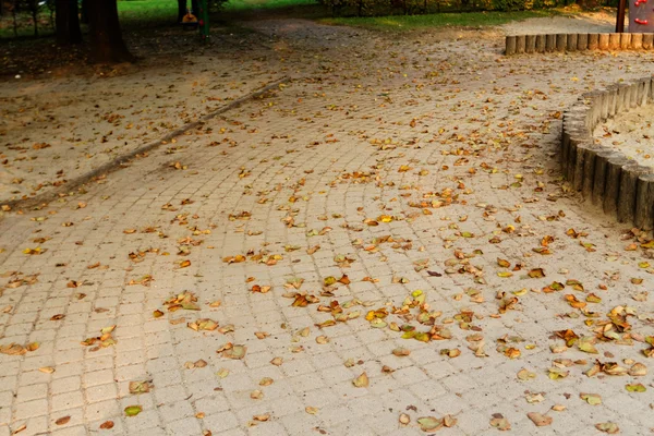 Тротуар на детской площадке осенью — стоковое фото