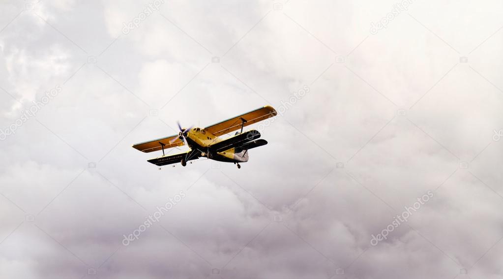 plane in cloudy sky