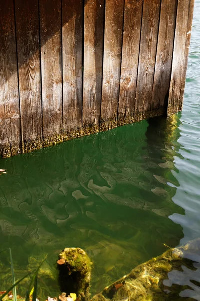 Bord du lac et eau verte — Photo
