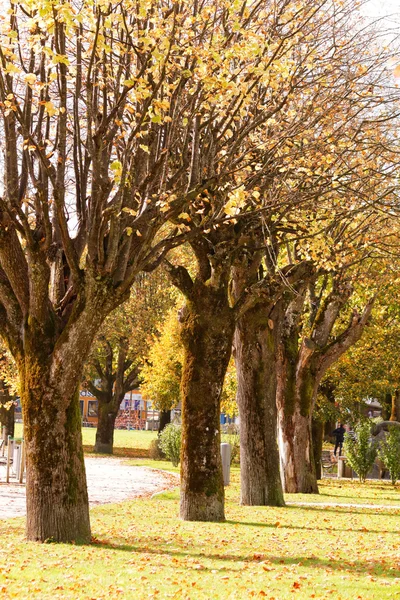 Zelený park v městě — Stock fotografie