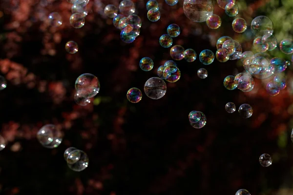 Seifenblasen aus Gebläse — Stockfoto