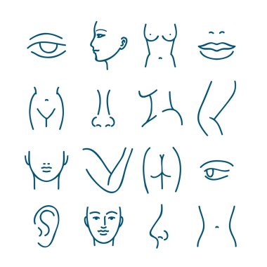 Human body parts vector line icons for plastic or cosmetic surgery