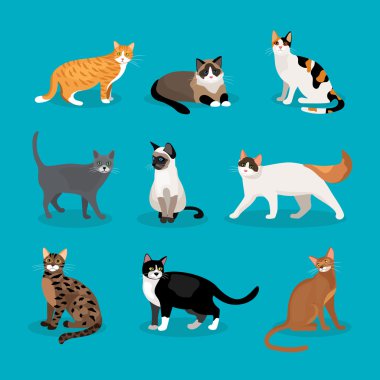 stock vector
