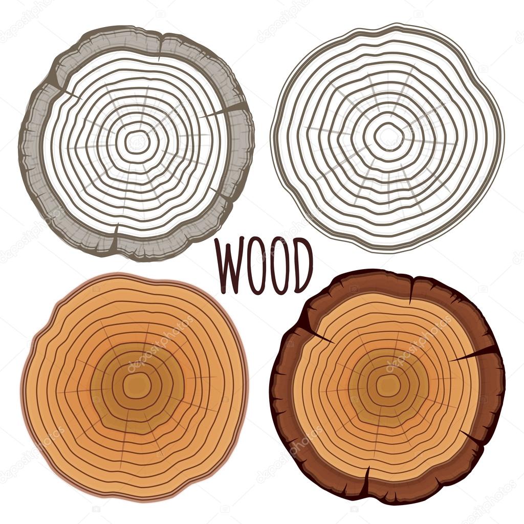 Vector tree rings — Stock Vector © MSSA 57782621
