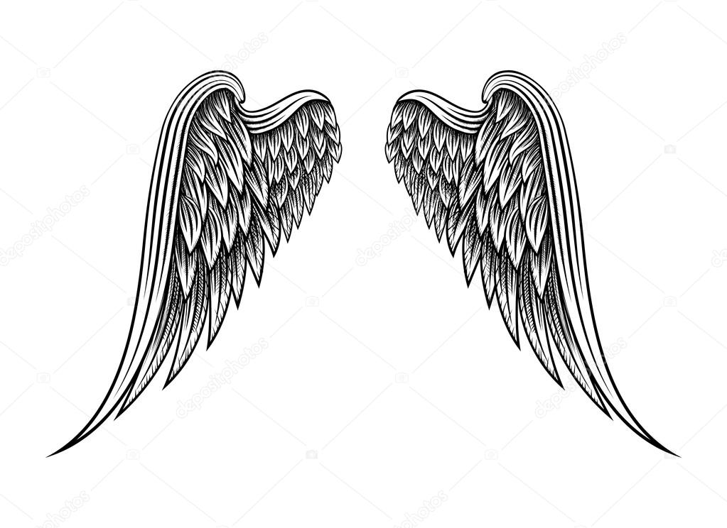 Ali d'angelo disegnate a mano - Grafica Vettoriale © K3star 63505479