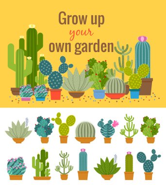 Home cactus garden poster