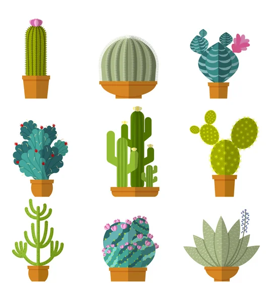Vector collection of cactus in flat style