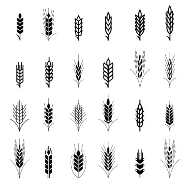 Wheat ear symbols for logo design