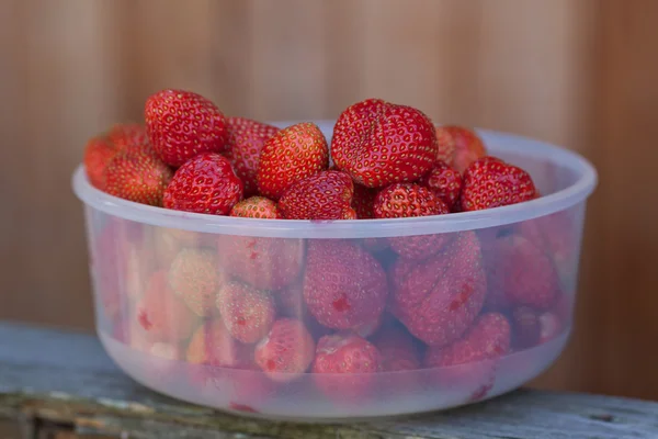 Strawberries — Stock Photo, Image