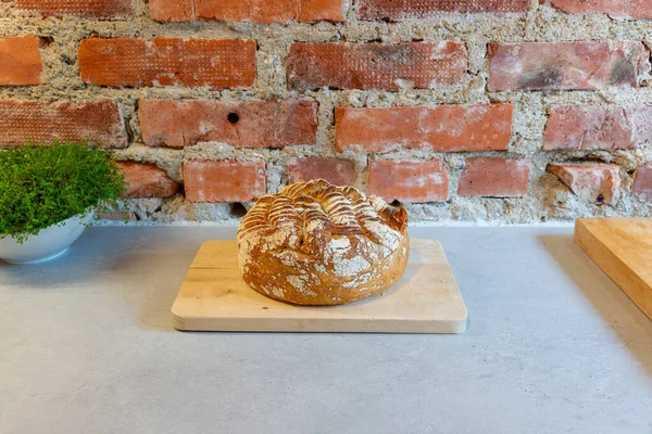 Masa Madre Casera Directamente Del Horno Listo Para Ser Comido — Foto de Stock