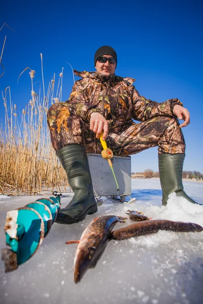 Pescador pegar lúcio na pesca de inverno — Fotografia de Stock