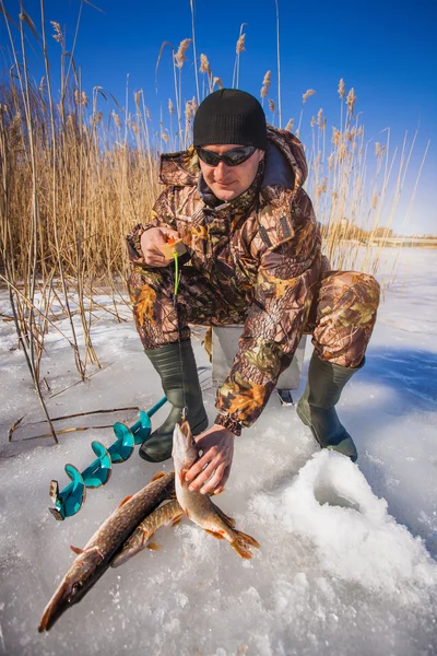 Ice fisherman with pike caught on a tip up — Stock Photo, Image