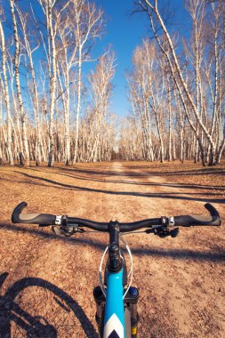 dağ bisikleti hızlı bisiklet üzerinde azalan tepeden aşağı.