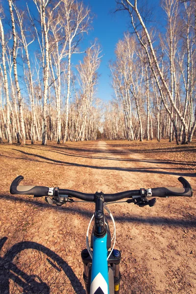 dağ bisikleti hızlı bisiklet üzerinde azalan tepeden aşağı.