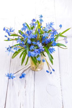 Bahar mavi çiçekli natürmort