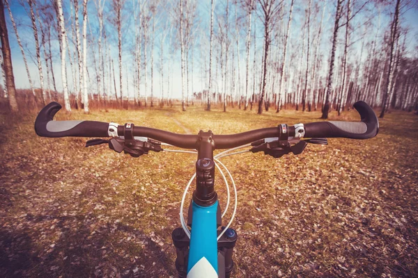 dağ bisikleti hızlı bisiklet üzerinde azalan tepeden aşağı.