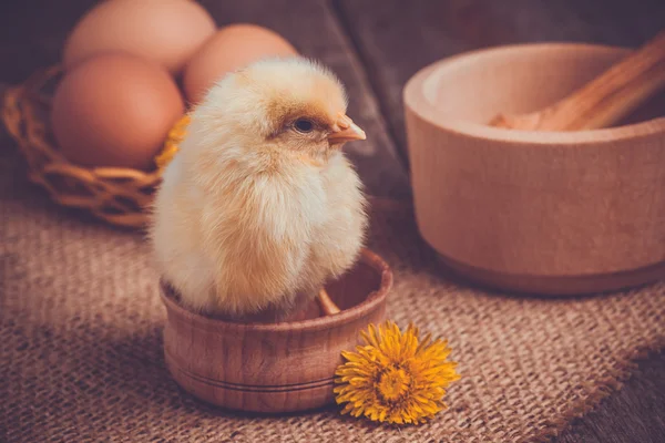Małe pisklę z jajkiem na drewnianym stole — Zdjęcie stockowe