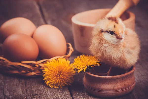 ahşap masa yumurta ile küçük kız