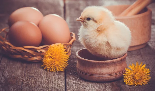 Маленький цыпленок с яйцом на деревянном столе — стоковое фото