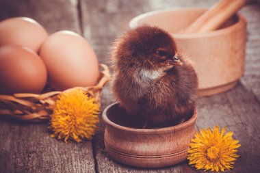 ahşap masa yumurta ile küçük kız