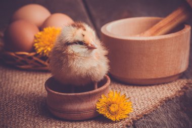 ahşap masa yumurta ile küçük kız