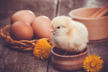 ahşap masa yumurta ile küçük kız