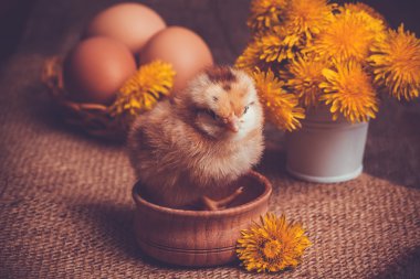 ahşap masa yumurta ile küçük kız