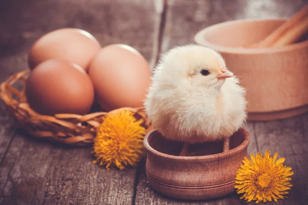 Small chick with egg on the wooden table — Stock Photo, Image