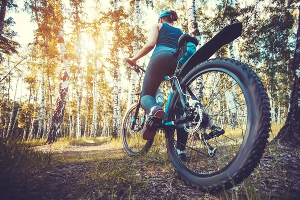 Cyclist riding mountain bike in the forest — Stock Photo, Image