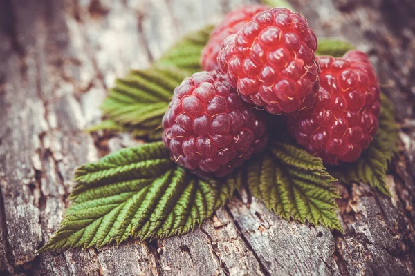 Fresh raspberry on a wooden table — Stock Photo, Image