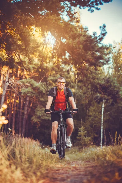 Ciclista hombre paseos en el bosque en una bicicleta de montaña . — Foto de Stock