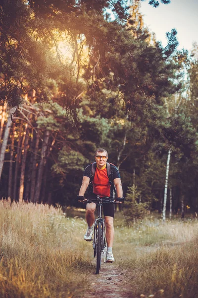 Człowiek rowerzysta jeździ się w lesie na rower górski. — Zdjęcie stockowe
