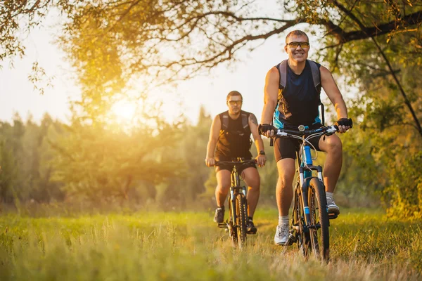 Due mountain bike in sella alla bici nel bosco — Foto Stock