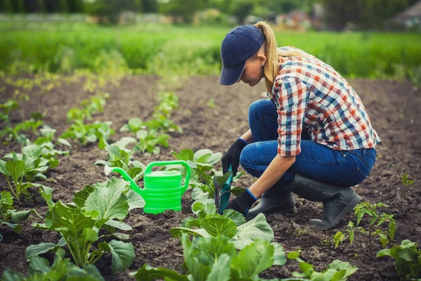 Boerenmeisje Aan Het Werk Tuin Het Planten Van Peper Zaailingen — Stockfoto