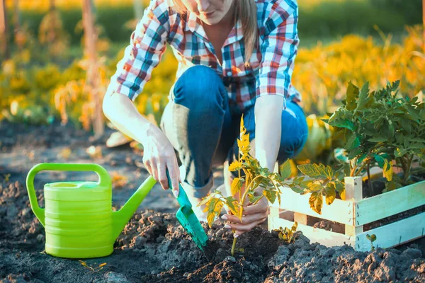 Vrouwelijke Boer Werkt Een Tuin Een Geruit Hemd Het Planten — Stockfoto