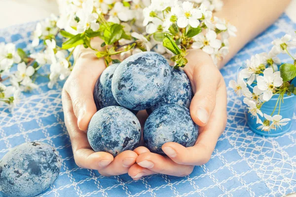 Pasen marmeren eieren in vrouwelijke handen op de blauwe doek — Stockfoto