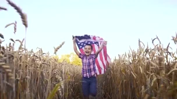 Little kid holding an American flag on the wind in a field of wheat. Summer landscape against the blue sky. ストック映像