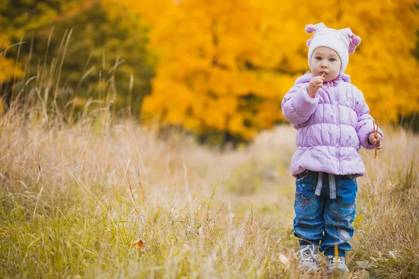 Happy playful baby in the autumn park — Stock Photo, Image