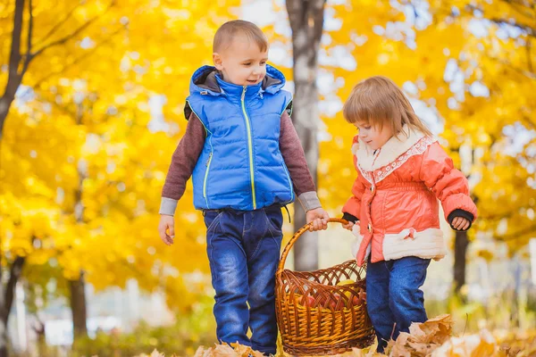 Niños con cesta en el parque de otoño —  Fotos de Stock