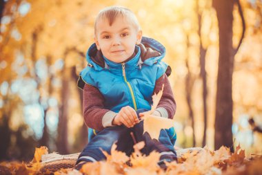 mutlu oynak çocuk var eğlenceli sarı yapraklarda