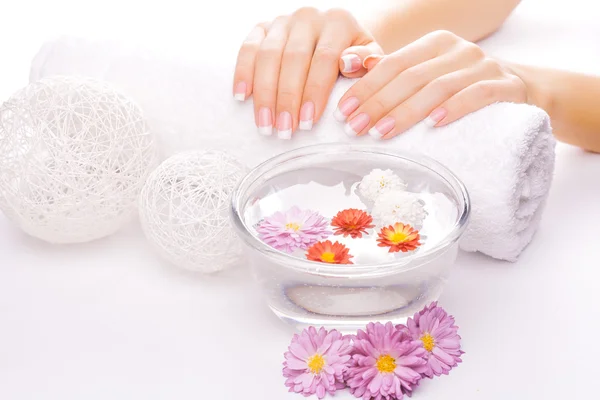 Französische Maniküre mit bunten Chrysanthemen — Stockfoto