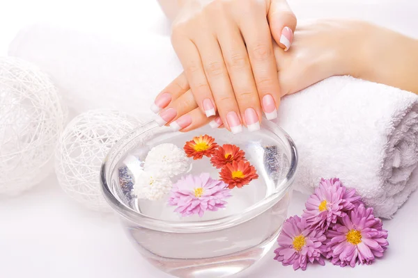 French manicure met kleurrijke chrysant — Stockfoto