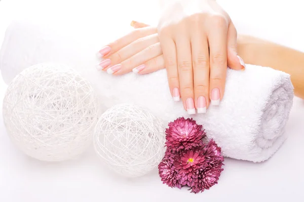 French manicure met kleurrijke chrysant — Stockfoto