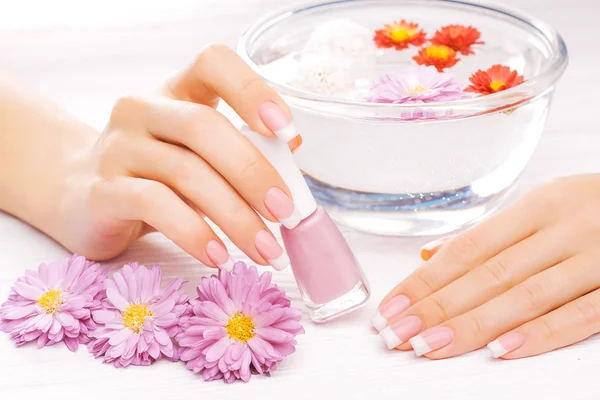 Manicure francês com crisântemo colorido — Fotografia de Stock