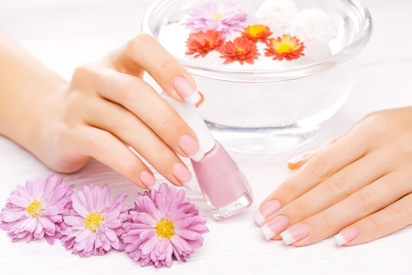 Französische Maniküre mit bunten Chrysanthemen — Stockfoto